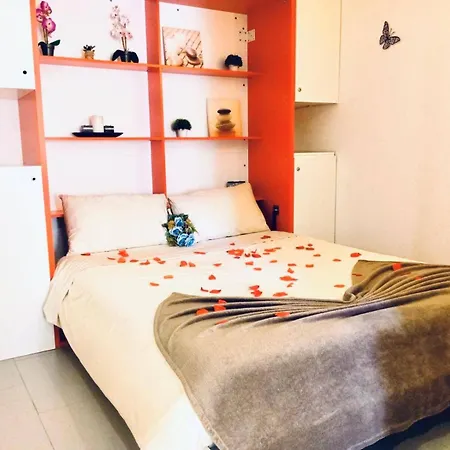 Paraiso Sol Da Rocha Estudio By Sweet