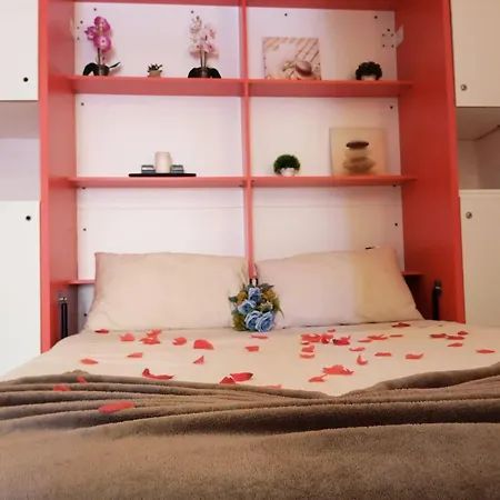 Paraiso Sol Da Rocha Estudio By Sweet *