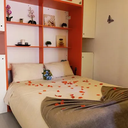 Paraiso Sol Da Rocha Estudio By Sweet *